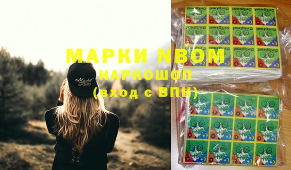 шишки Магас