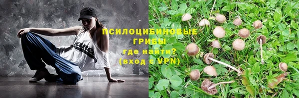 mdma Лагань