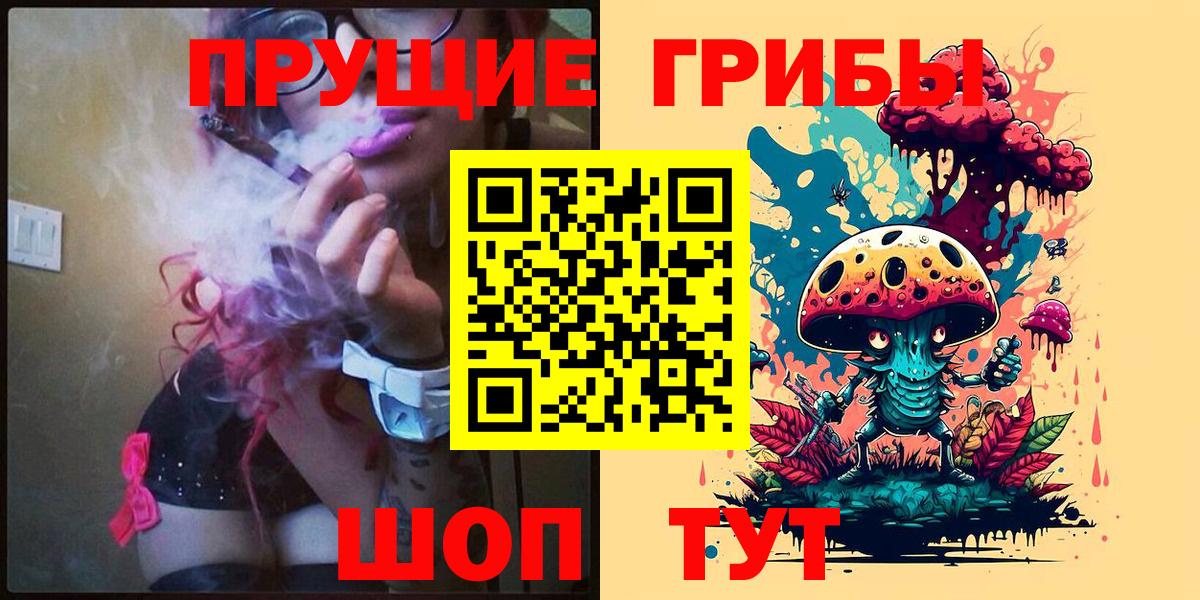 Псилоцибиновые грибы Psilocybine cubensis  Вход с VPN  Ростов-на-Дону 